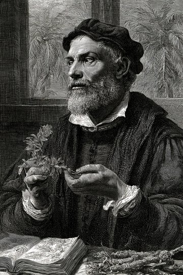 Portrait de Garcia de Orta